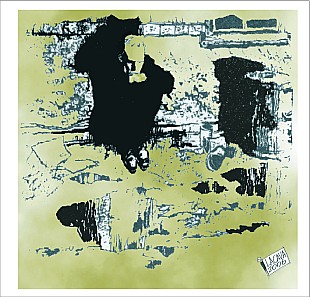 QT n. 20, 25 novembre 2006
