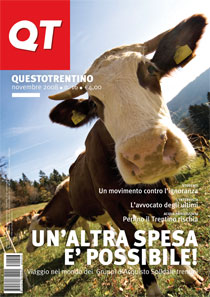 Copertina del QT n. 16, 8 novembre 2008