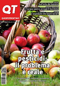 Copertina del QT n. 11, novembre 2015