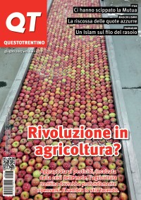 QT n. 6, giugno 2017
