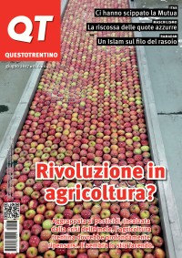 Copertina del QT n. 6, giugno 2017