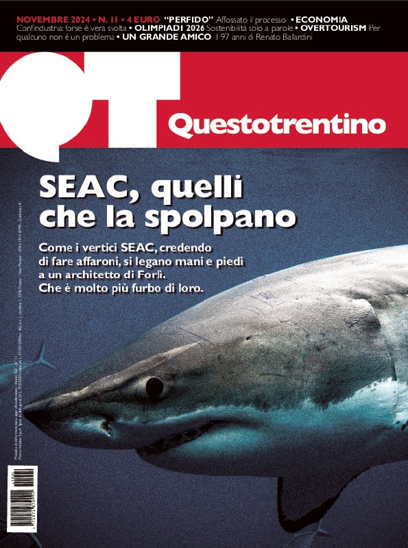 QT n. 11, novembre 2024